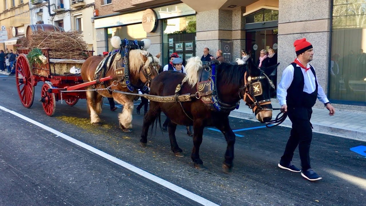 41a Edició dels Tres tombs de Sant Antoni de Valls