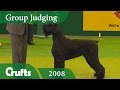 Giant Schnauzer wins the Working Group Judging at Crufts 2008 | Crufts Dog Show