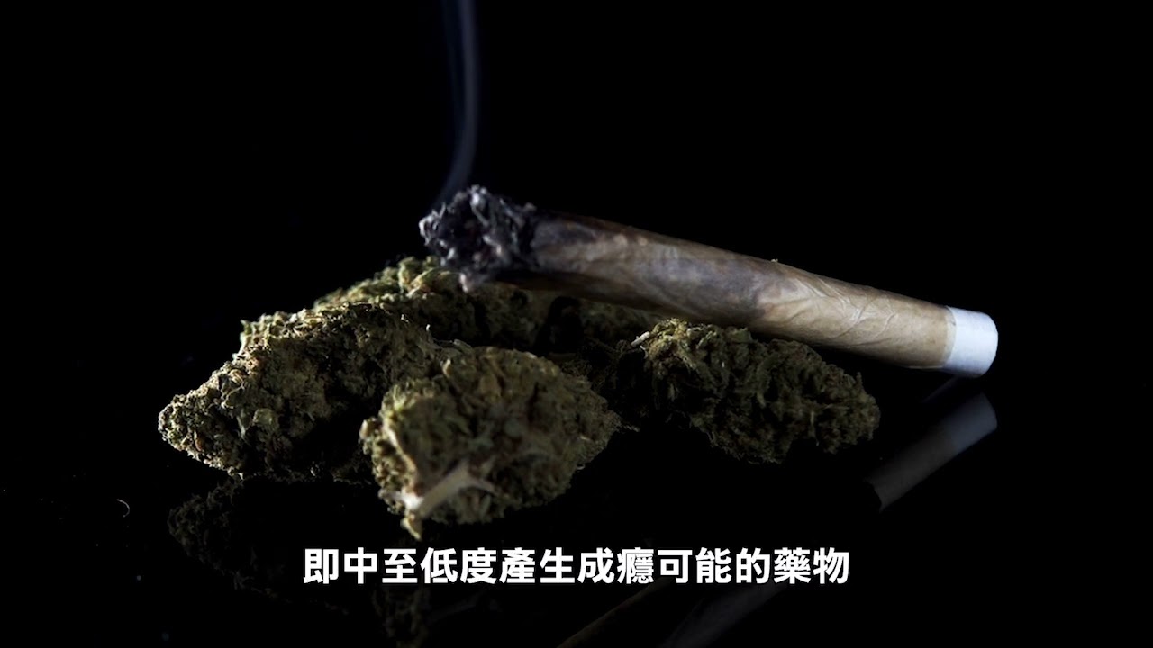 【天下新聞】健康: 大麻危害性分類將迎來調整