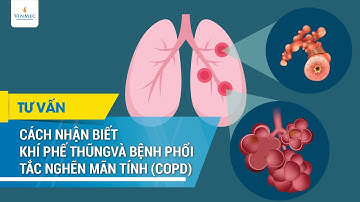Cách nhận biết khí phế thũng và bệnh phổi tắc nghẽn mạn tính (COPD)