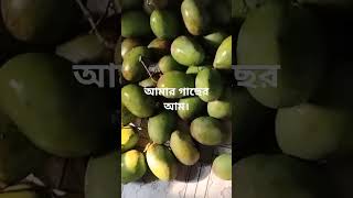 Novia April Mango Live mp3 mp4 flv webm m4a hd video indir