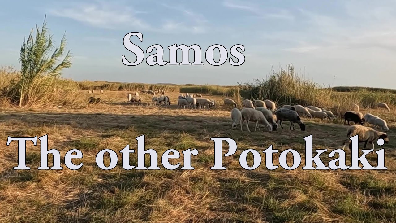 SAMOS THE OTHER POTOKAKI 