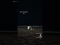 يوما ما انا والحته بتاعتي