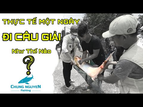 Thực Tế Một Ngày Đi Câu Giải Như Thế Nào | Chung Nguyễn Fishing