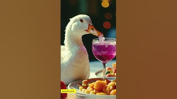 cat pranks with duck| cat cooking| #ai #animal #animation #cat #catlover #duck #aiart #shortvideo