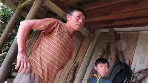 Tứ đại quốc khuyển: Ký sự tầm chó bản địa người H