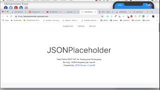 6  Flutter JSON API Async Await