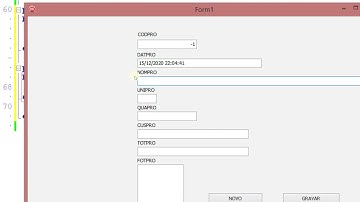 GRAVANDO DATA E HORA AUTOMATICO COM TIMESTAMP - DELPHI 10.3
