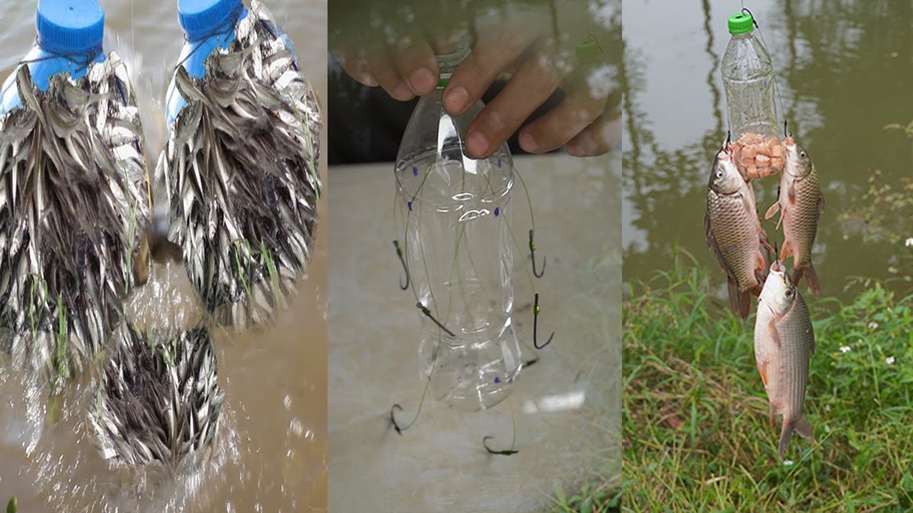 Amazing fishing technique || Wow! Fish Catch With Plastic Bottle
