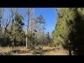 “This 89-Acre Hunting Property Might Be One of the BEST Deals in Mississippi…”
