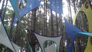 The Electric Forest in 3 Minutes 6 30 2011 Rothbury, MI.mp4