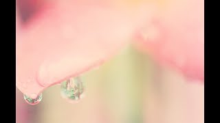 Bulle de Lumière: 28-01-18 Flamme Rose screenshot 4