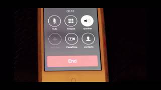 Can I Habe A Pizza Pls