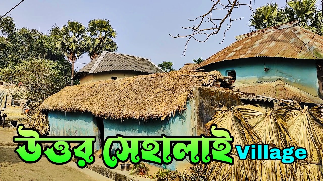 উত্তর সেহালাই | Uttar Sehalai Village | Village Documentary Video | @Gram Bongo