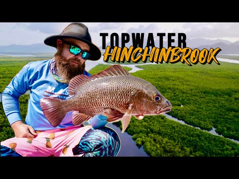TOPWATER FISHING HINCHINBROOK ISLAND // Tips And Tricks!