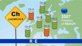 What is REACH? And its impact for SOURIAU