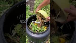 How To Make Odourless Dry Compost From Kitchen Scraps Seedly
