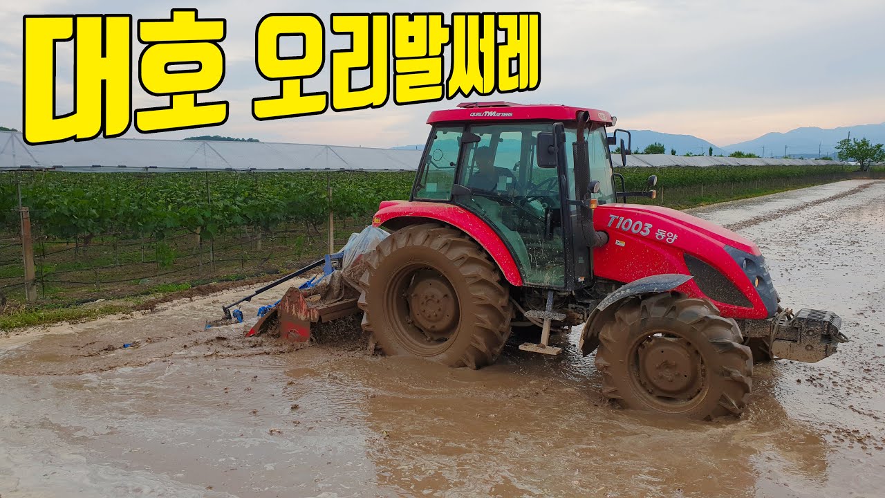 대호오리발써레 트랙터 물로터리 써레질 모내기 Korean Agriculture - YouTube