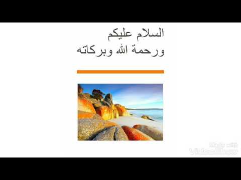 مالدينا لنقدمه لحضراتكم شاهد ولن تندم 