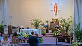 Corpus Christi Live Stream