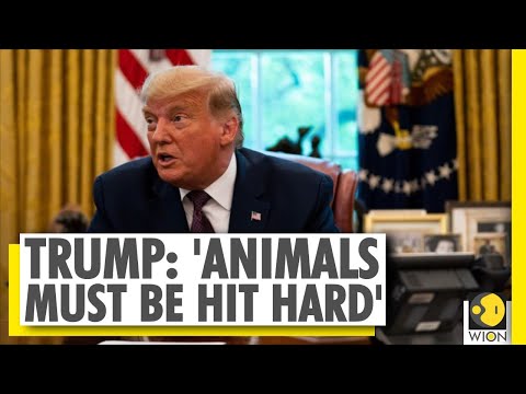 Los Angeles cops shot | Trump calls for death penalty for shooters | World News