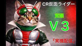パチンコ実機ライブ配信：ＣＲぱちんこ仮面ライダーＶ３ #パチンコ #パチンコ実機