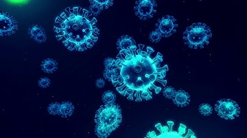 COVID-19 Corona Virus Loop Animated Background - Royalty Free Footage - Free motion background Loops