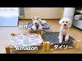 ドッグコットはダイソーで十分かも！おすすめのペットベッドと食器台【犬連れキャンプ】