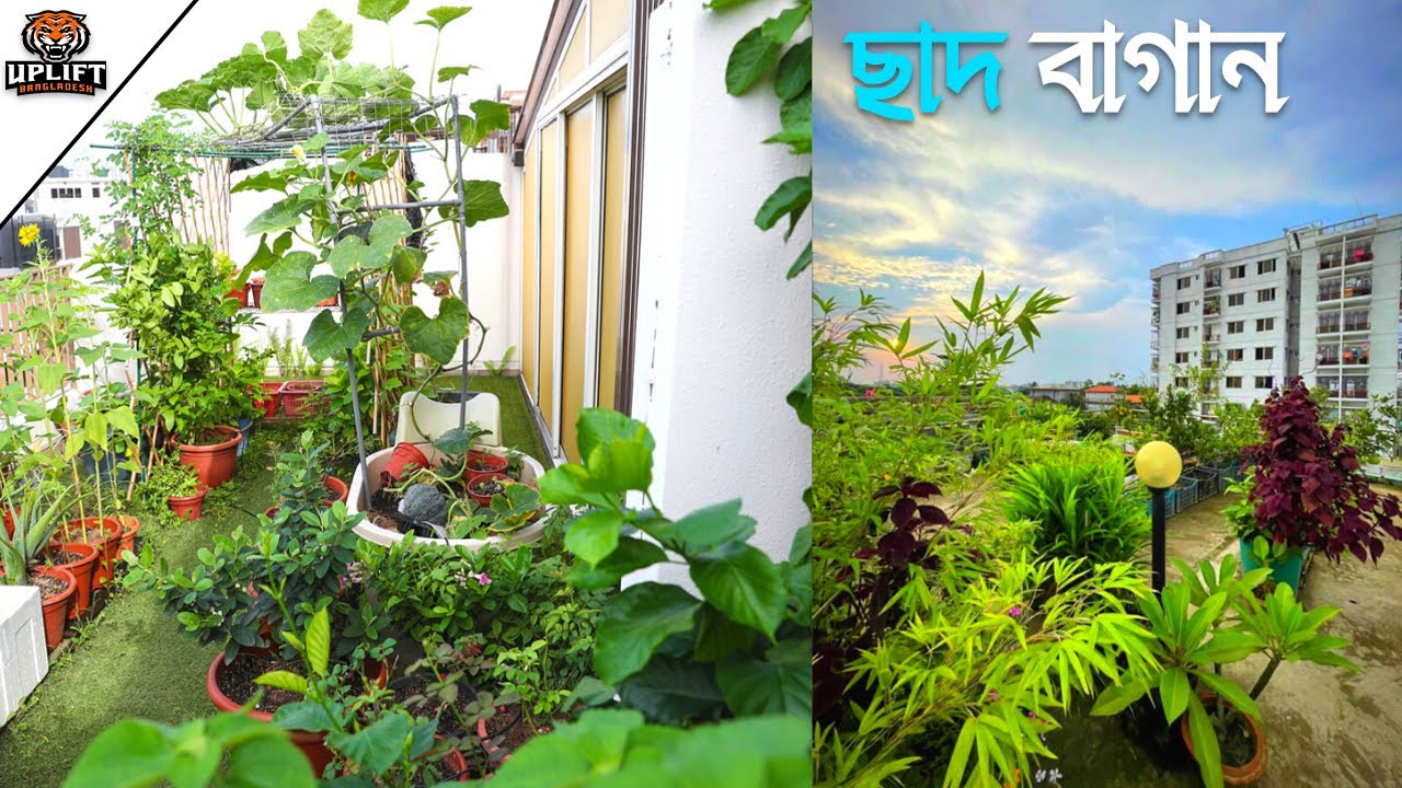 অল্প জায়গাতে চমৎকার একটি ছাদ বাগান Rooftop Garden Uplift