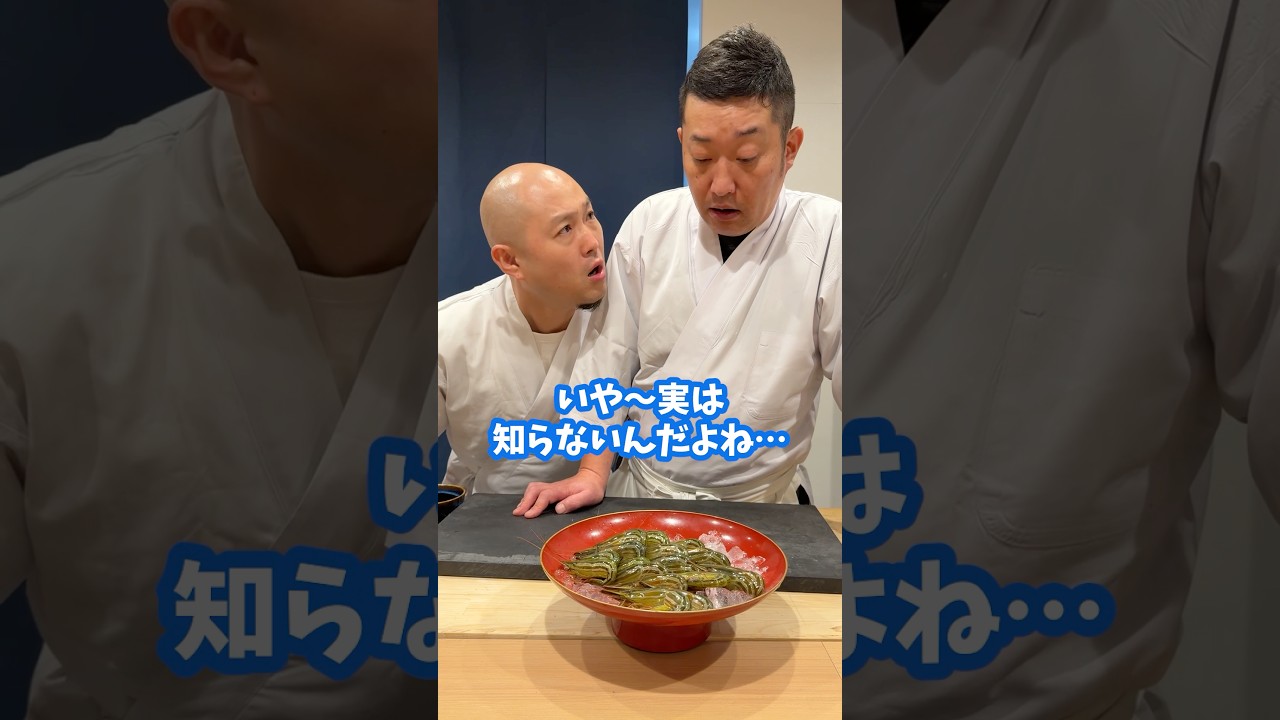 緑色のシマエビでお寿司を作ってみたら…