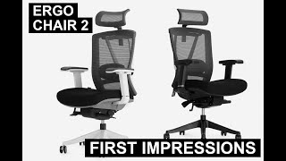 Ergo Chair 2 First Impressions