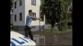 Funny Gifs