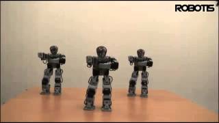 BIOLOID robot dance Kungfu Fighting