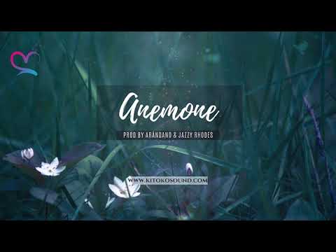zouk-instrumental-2019-free-"anemone"-|-afro-pop-beat-instrumental-2019-x-kizomba-beat-instrumental