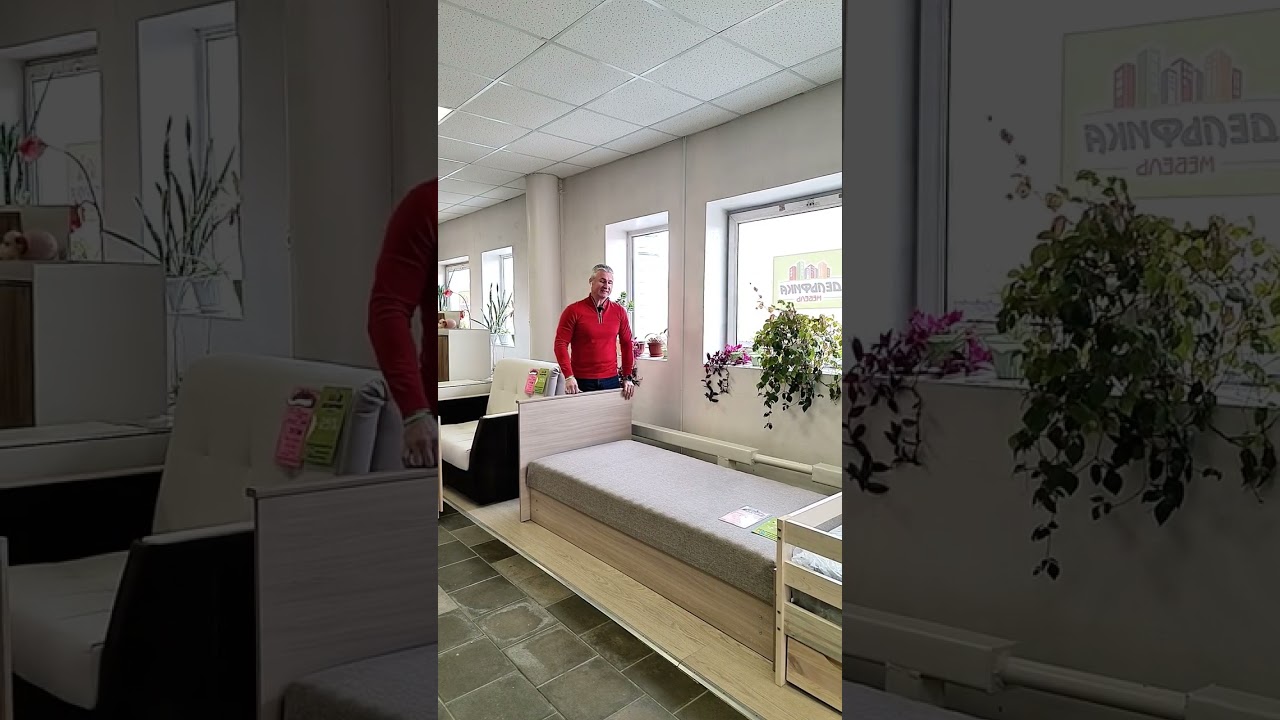 Тахта за 12890 р. Дельфика Дмитров. Доставим за 3 дня! 