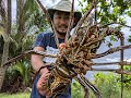 Catch and Cook LOBSTER  Diving with HAWAII NATIVES!!