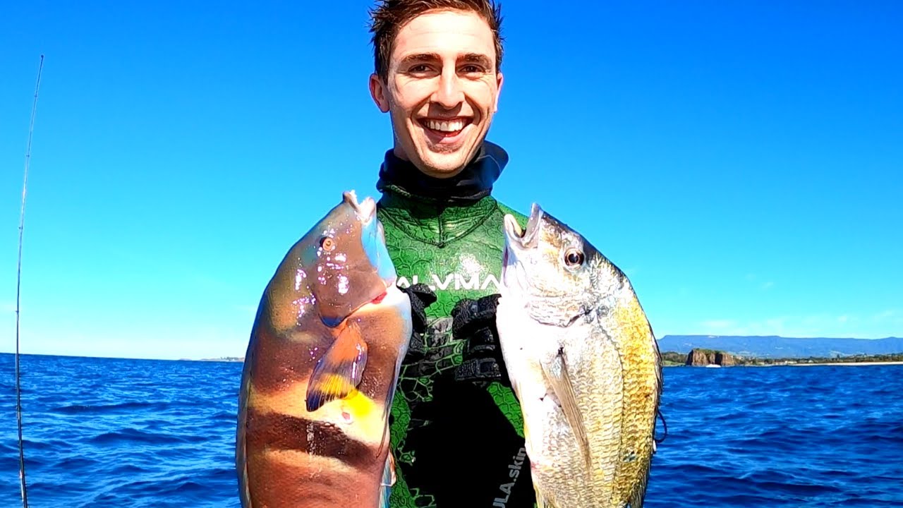 Spearfishing NSW King Wrasse/Bream/Lobsters & Much More YouTube