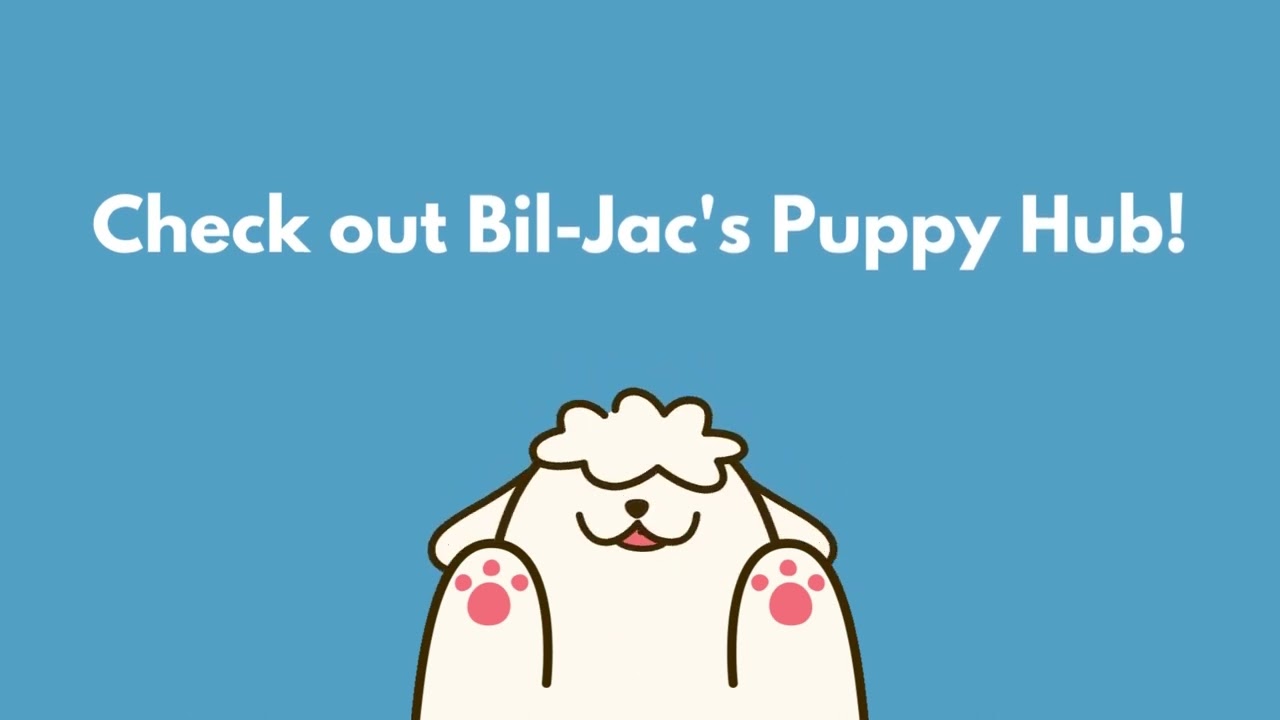 How Much Should Puppies Gain Per Day