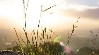 Suara merdu syech imad Al mansari. Surah AL Fajr