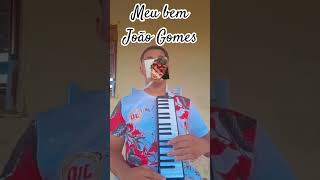 meu bem João Gomes na eacaleta #escaleta #melodicapuls #viralshorts #viralizei #forrozão #tutorial