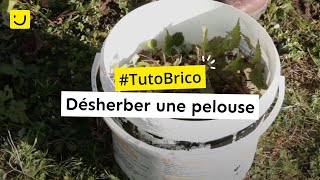 Désherber Une Pelouse (Ooreka.fr) - Youtube