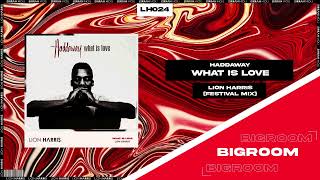 |Big Room| Haddaway - What Is Love  (LION HARRIS Festival Mix) [Self-Released]