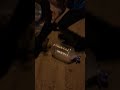 عكلو بايگ دراجه