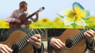 Faxanadu – Password Screen | NES 8-bit Classical Guitar Cover