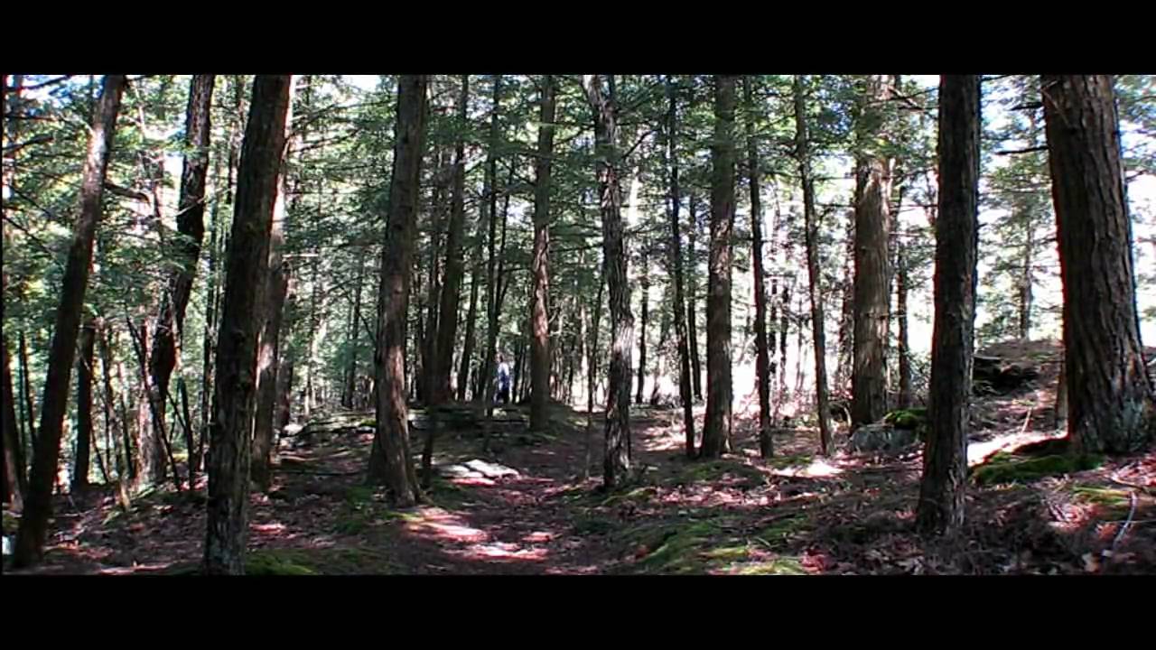 Shohola Falls Welcomes You