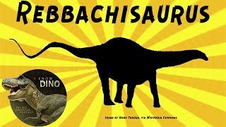 Rebbachisaurus Dinosaur Of The Day