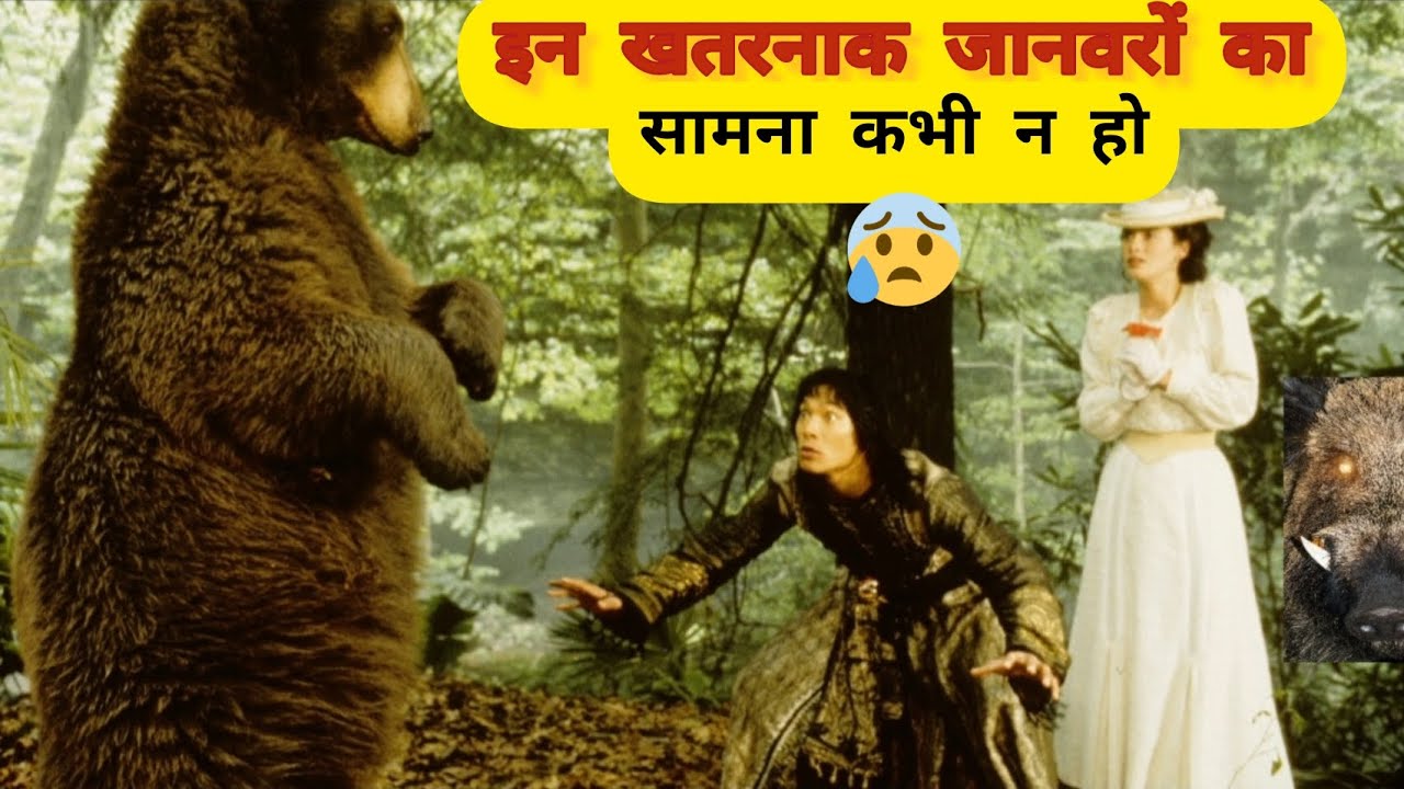 Khatarnak JanvarMost Powerful AnimalWild animalsanimal creatureanimal in jungleAnimal