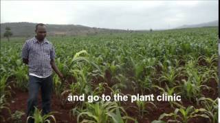 EUDD15: Interview with Rwandan Farmer