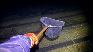 不味いと噂のカレイを捕まえて食べてみると・・・