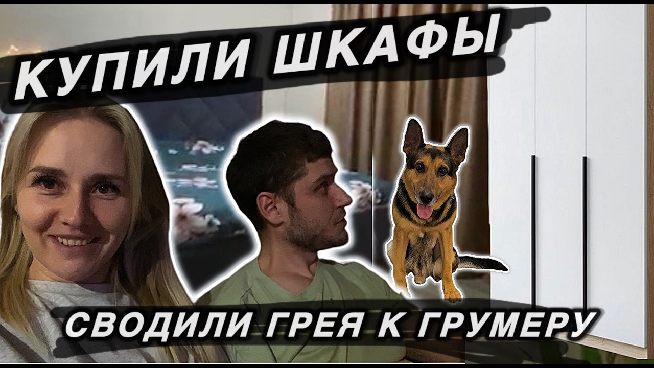 Купили шкафы/ Сводили Грея к грумеру